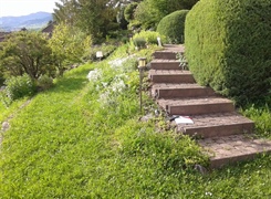 Böschung und Treppe vorher