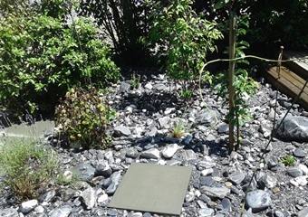 Steingarten mit Flusssteinen