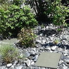 Steingarten mit Flusssteinen