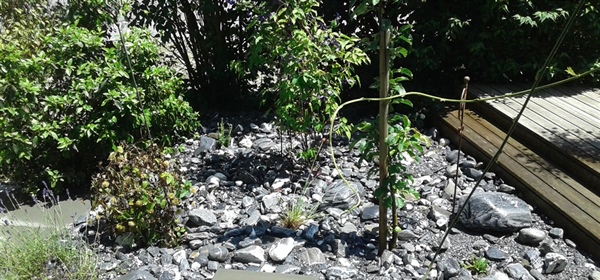 Steingarten mit Flusssteinen