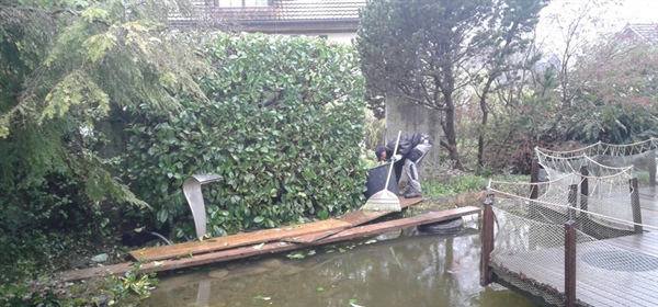 Teichpflege